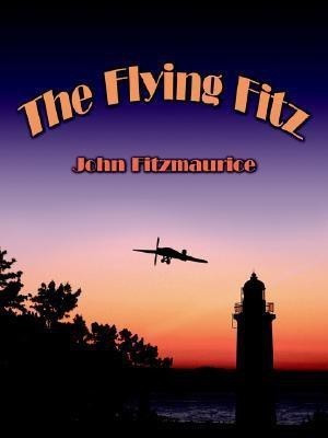 The Flying Fitz(English, Paperback, Fitzmaurice John)