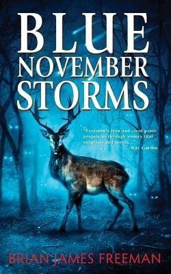 Blue November Storms(English, Paperback, unknown)