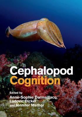 Cephalopod Cognition(English, Hardcover, unknown)