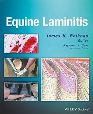 Equine Laminitis(English, Hardcover, unknown)