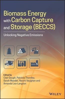 Biomass Energy with Carbon Capture and Storage (BECCS)(English, Hardcover, unknown)