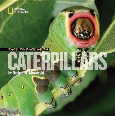 Face to Face with Caterpillars(English, Paperback, Murawski Darlyne A.)