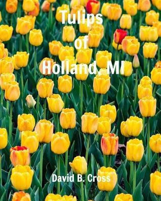 Tulips of Holland, MI(English, Paperback, Cross David B)
