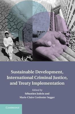 Sustainable Development, International Criminal Justice, and Treaty Implementation(English, Hardcover, unknown)