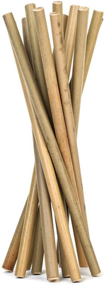 

State Pride-T Straight Drinking Straw(Beige, Pack of 12)