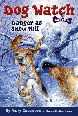 Danger at Snow Hill: Volume 3(English, Paperback, Casanova Mary)