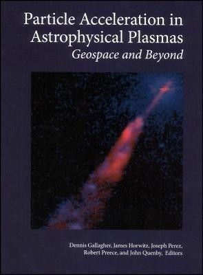 Particle Acceleration in Astrophysical Plasmas(English, Hardcover, unknown)