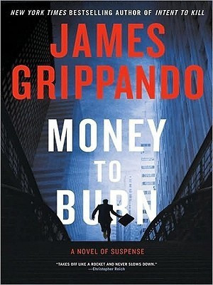 Money To Burn Large Print(English, Paperback, Grippando James)