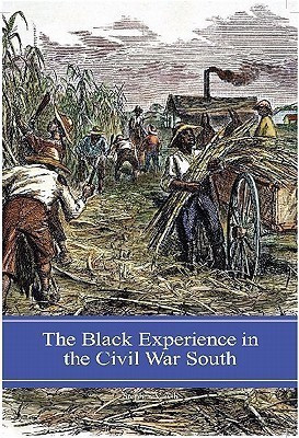 The Black Experience in the Civil War South(English, Hardcover, Ash Stephen V.)