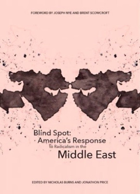Blind Spot(English, Paperback, unknown)