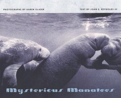 Mysterious Manatees(English, Hardcover, III John E Reynolds)