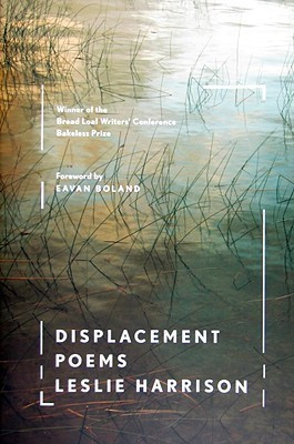 Displacement(English, Paperback, Harrison Leslie)