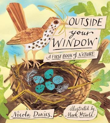 Outside Your Window(English, Hardcover, Davies Nicola)