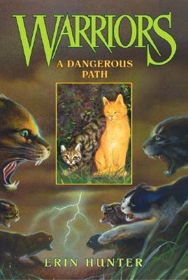 A Dangerous Path(English, Paperback, Hunter Erin)