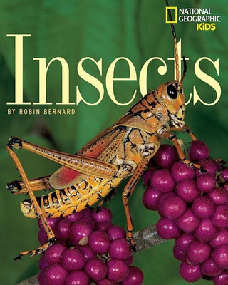 Insects(English, Paperback, Bernard Robin)