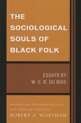 The Sociological Souls of Black Folk(English, Paperback, Du Bois W. E. Burghardt)