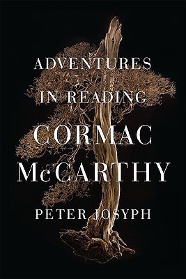 American Classic Screen Interviews(English, Paperback, unknown)