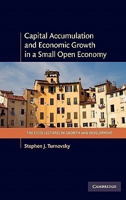 Capital Accumulation and Economic Growth in a Small Open Economy(English, Hardcover, Turnovsky Stephen J.)