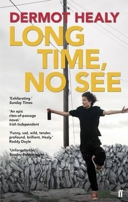Long Time, No See(English, Paperback, Healy Dermot)