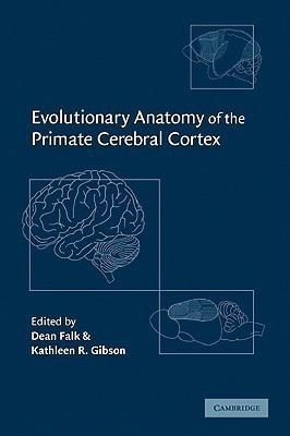Evolutionary Anatomy of the Primate Cerebral Cortex(English, Paperback, unknown)