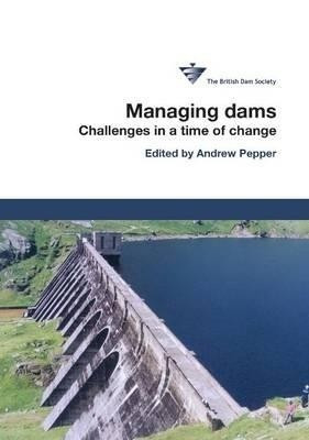 Managing Dams: Challenges in a time of change(English, Hardcover, unknown)