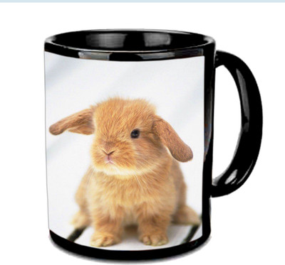 

Raj Laxmi Cute rabbit black Ceramic Mug(350 ml)