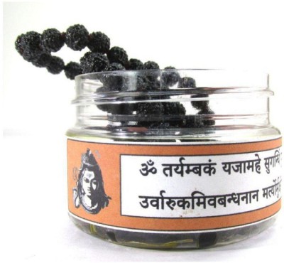 SHIVOHAM Mantra-Siddha Rudraksha Mala 108 + 1 Beads Wood Necklace