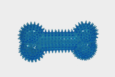 

GINIPET SPIKE BONE Rubber Chew Toy, Fetch Toy, Tough Toy, Squeaky Toy, Bone, Tug Toy, Training Aid, Rubber Toy For Dog & Cat