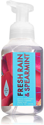 

Bath & Body Works Gentle Foaming Hand Soap- Fresh Rain & Spearmint(259 g)