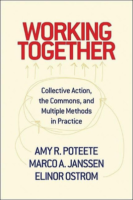 Working Together(English, Paperback, Poteete Amy)