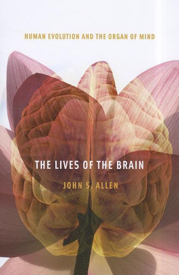 The Lives of the Brain(English, Paperback, Allen John S.)