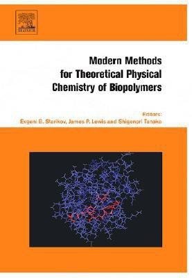 Modern Methods for Theoretical Physical Chemistry of Biopolymers(English, Hardcover, unknown)