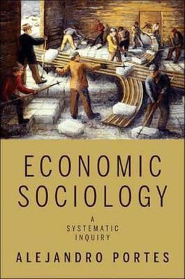 Economic Sociology(English, Paperback, Portes Alejandro)