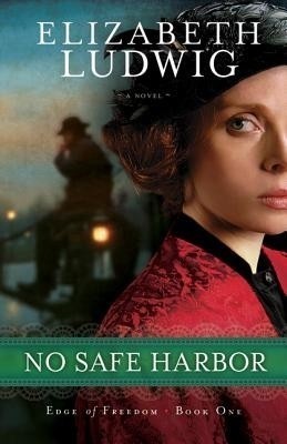 No Safe Harbor(English, Paperback, Ludwig Elizabeth)