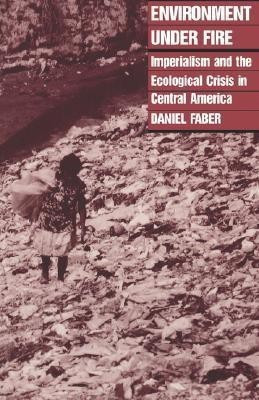 Environment Under Fire(English, Paperback, Faber Daniel J)