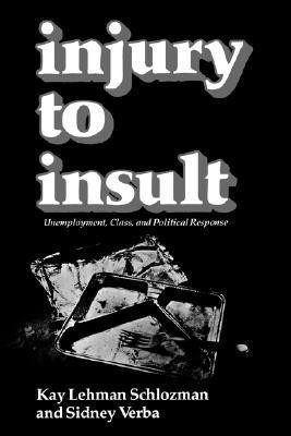 Injury to Insult(English, Paperback, Schlozman Kay Lehman)