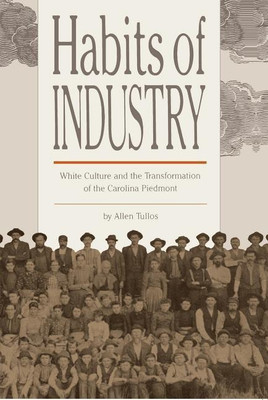 Habits of Industry(English, Paperback, Tullos Allen)