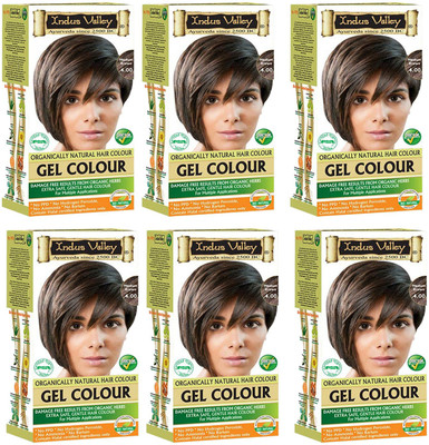 

Indus Valley Organically Natural Gel Medium Brown 4.00 (Pack of 6) Hair Color(Medium Brown 4.00)