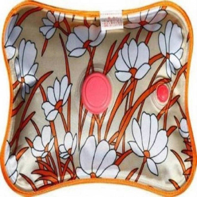 

FUTUREWIZARD WARM HEATING BAG WITH AUTO CUT OFF Backache, Muscular Pains, Cramps, Hypothermia electric heating bag 1 L Hot Water Bag(Multicolor)