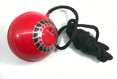 

CSU Hanging Ball - Practice Ball or Knocking Ball with 2 Meter Rope (Leather, Red) Cricket Training Ball(Pack of 1, Red)