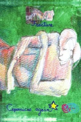 Fracture(English, Paperback, Copernicus Again)