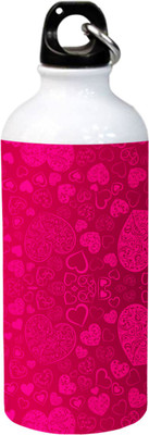 

JEEVANTRA Beautiful Fashion Typography Printed Stainless Steel 600 ml Sipper(Pack of 1, Multicolor)