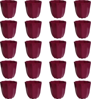 

NIBBO Nibbo 3131 Plant Container Set(Pack of 20, Plastic)