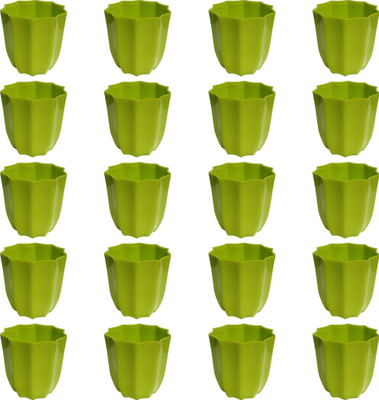 

NIBBO Nibbo 3132 Plant Container Set(Pack of 20, Plastic)