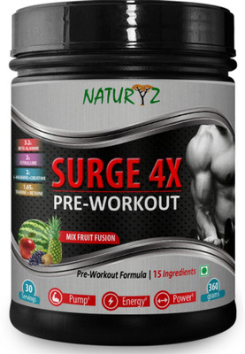 

NATURYZ Surge 4x Advanced Pre-Workout Supplement 15 Ingredients for Pump, Energy & Power Creatine(360 g, Mix Fruit Fusion)