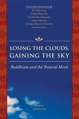 Losing the Clouds, Gaining the Sky(English, Paperback, Wolter Doris)
