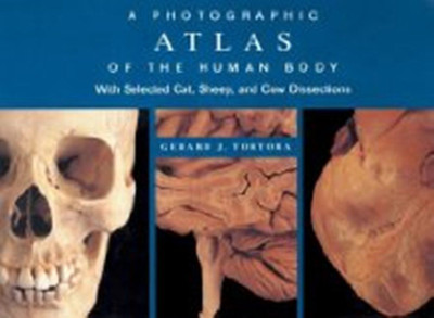 A Photographic Atlas of the Human Body: With Selected Cat, Sheep and Cow Dissections(English, Paperback, Tortora Gerard J.)