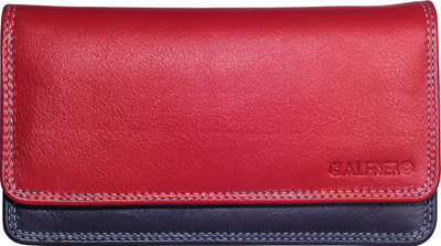 

Calfnero Casual Multicolor Clutch