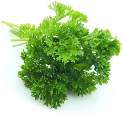 Heirloom Quality Parsley F1 Hybrid Seeds (Pack of 50 Seeds) Seed(50 per packet)