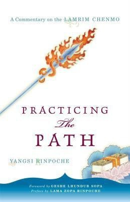 Practicing the Path(English, Paperback, Rinpoche Yangsi)